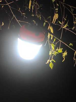 Side View of MSC Camping Lantern at night